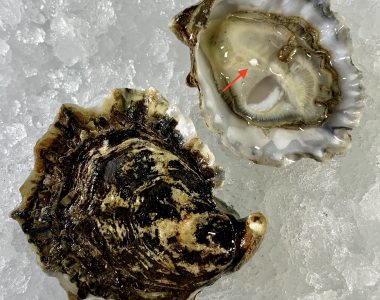 Couple orders oysters on the half shell at New Jersey restaurant, finds 'once-in-a-lifetime' pearl