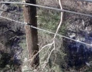 Officials: Getty Fire sparked by falling tree branch on power lines