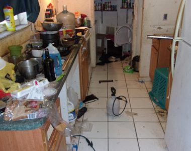 Florida girl, 14, calls abuse hotline over 'deplorable' living conditions, parents arrested
