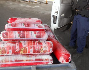 CBP seizes more than 150 pounds of black market bologna