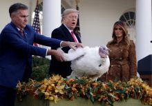 Trump uses Turkey pardon to mock Schiff, says birds already received subpoenas