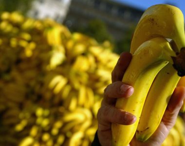 New York man eats Art Basel banana that sold for $120G