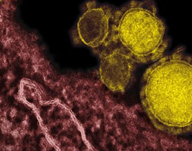 Coronavirus: 41 dead and 1,300 infected as Canada reports 1st case