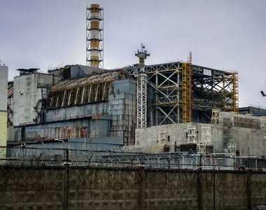 Chernobyl shocker as fungi that eats radiation found inside nuclear reactor