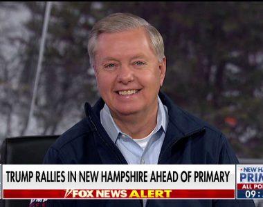 Lindsey Graham on New Hampshire primary: 'You’re seeing the demise of the Democratic Party'