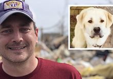 Tennessee ‘hero’ dog dies after saving family from deadly tornado