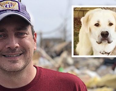 Tennessee ‘hero’ dog dies after saving family from deadly tornado
