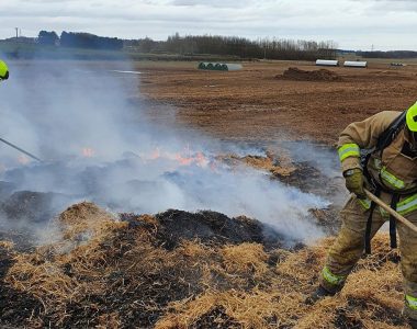 Pig sparks farm fire in England after eating, defecating battery-powered pedometer