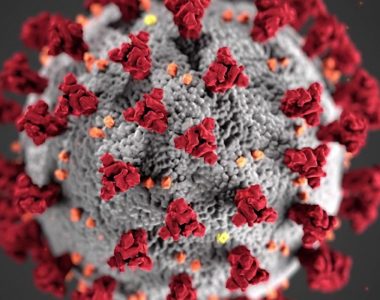 New York State will start coronavirus drug trials
