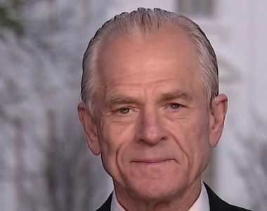 White House trade adviser Peter Navarro calls WHO chief one of China's 'proxies' at the UN