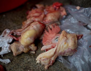 China's wet markets can include these bizarre, unusual items
