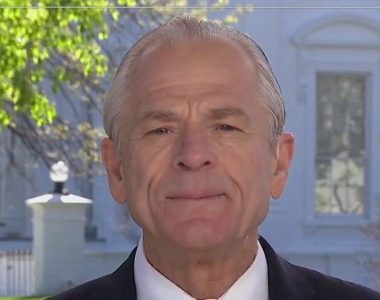 Peter Navarro: China 'cornered' the personal protective equipment market and 'is profiteering' during coron...