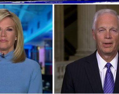 Johnson says declassified Rice email shows Obama officials 'sabotaging the incoming administration'