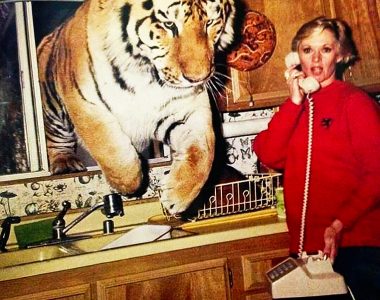 Tippi Hedren, 90, still lives with '13 or 14 lions and tigers,' granddaughter Dakota Johnson reveals