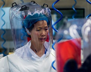 Coronavirus is just 'tip of iceberg,' Chinese researcher cautions