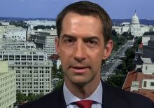 Sen. Tom Cotton blasts New York Times for caving to 'woke child mob' of staffers over op-ed