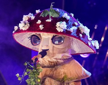 'The Masked Singer': Mushroom nearly sent home in shocking smackdown during Group C Finals