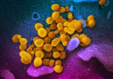 Coronavirus weakening, may disappear on its own, Italian doctor says